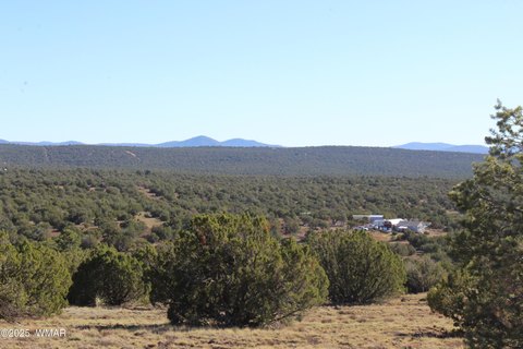Land Parcel in Concho, Arizona