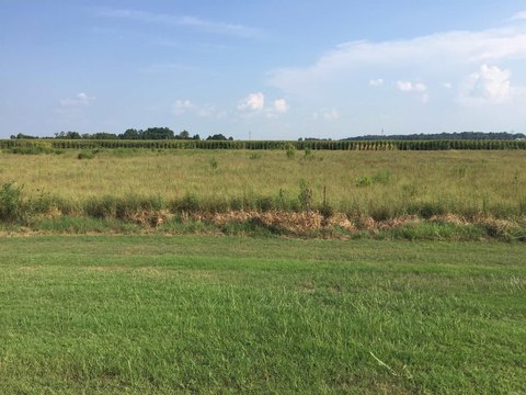 Residential Land Near Mound Lake