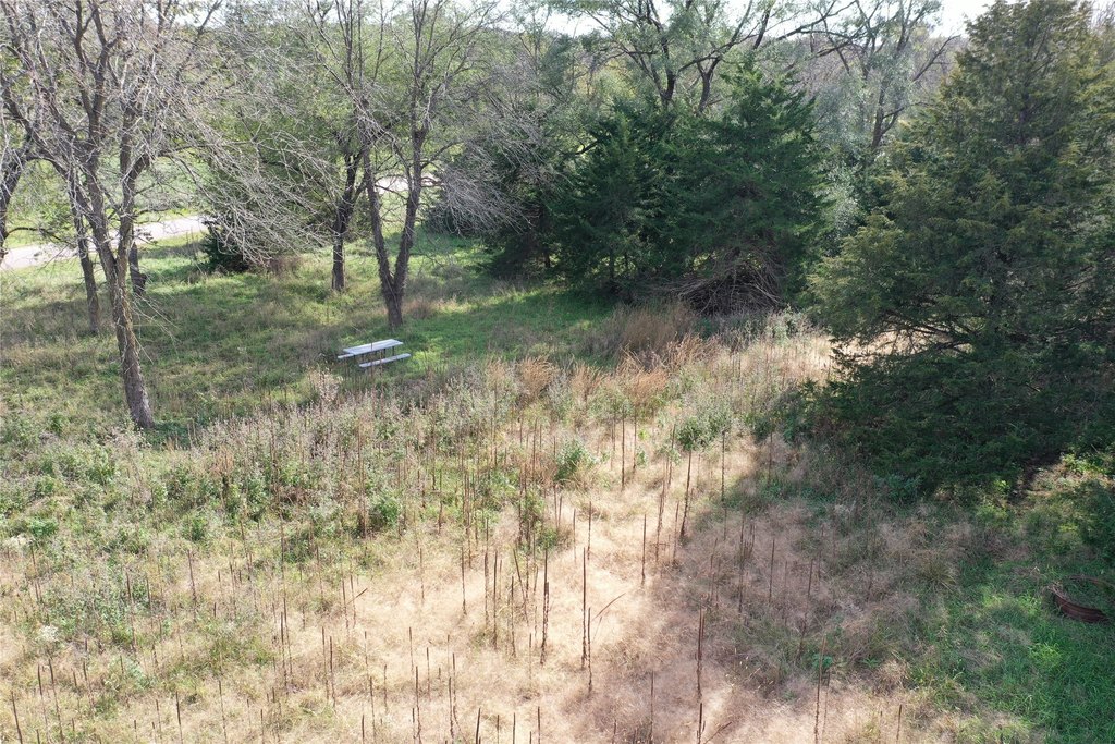 Picture 4