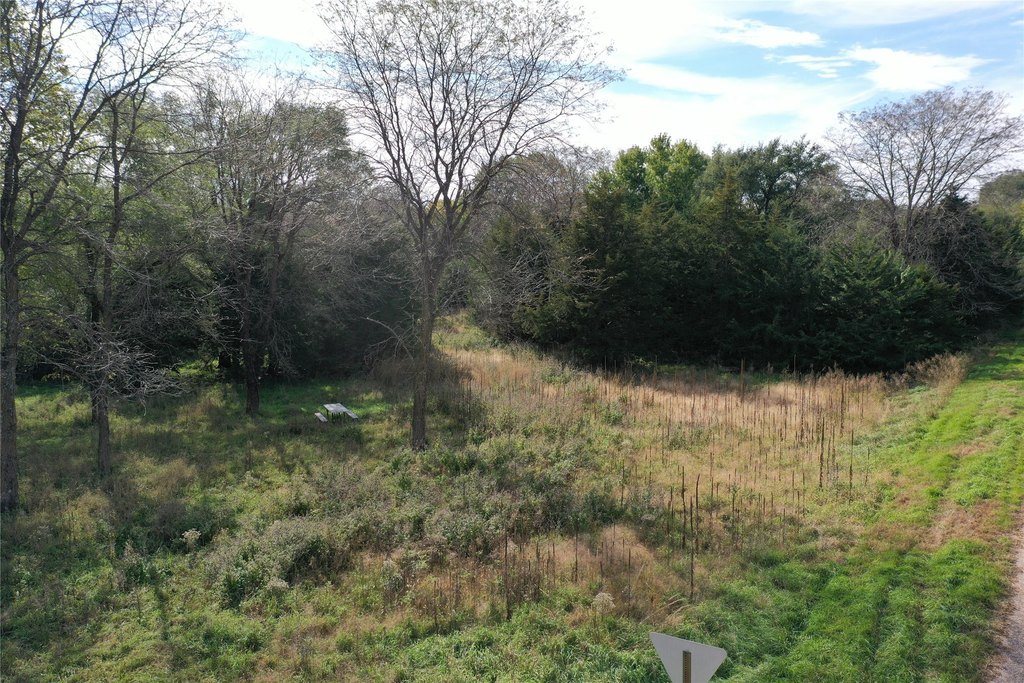 Picture 3