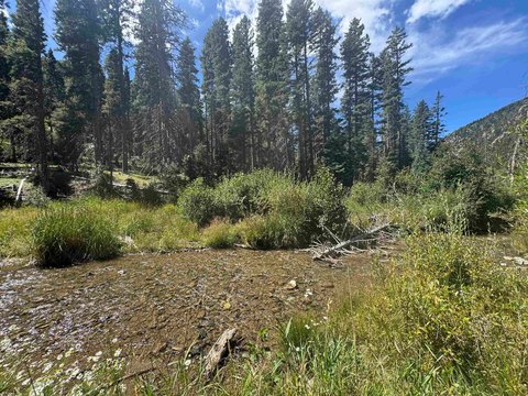 Riverfront Single-Family Land Parcel