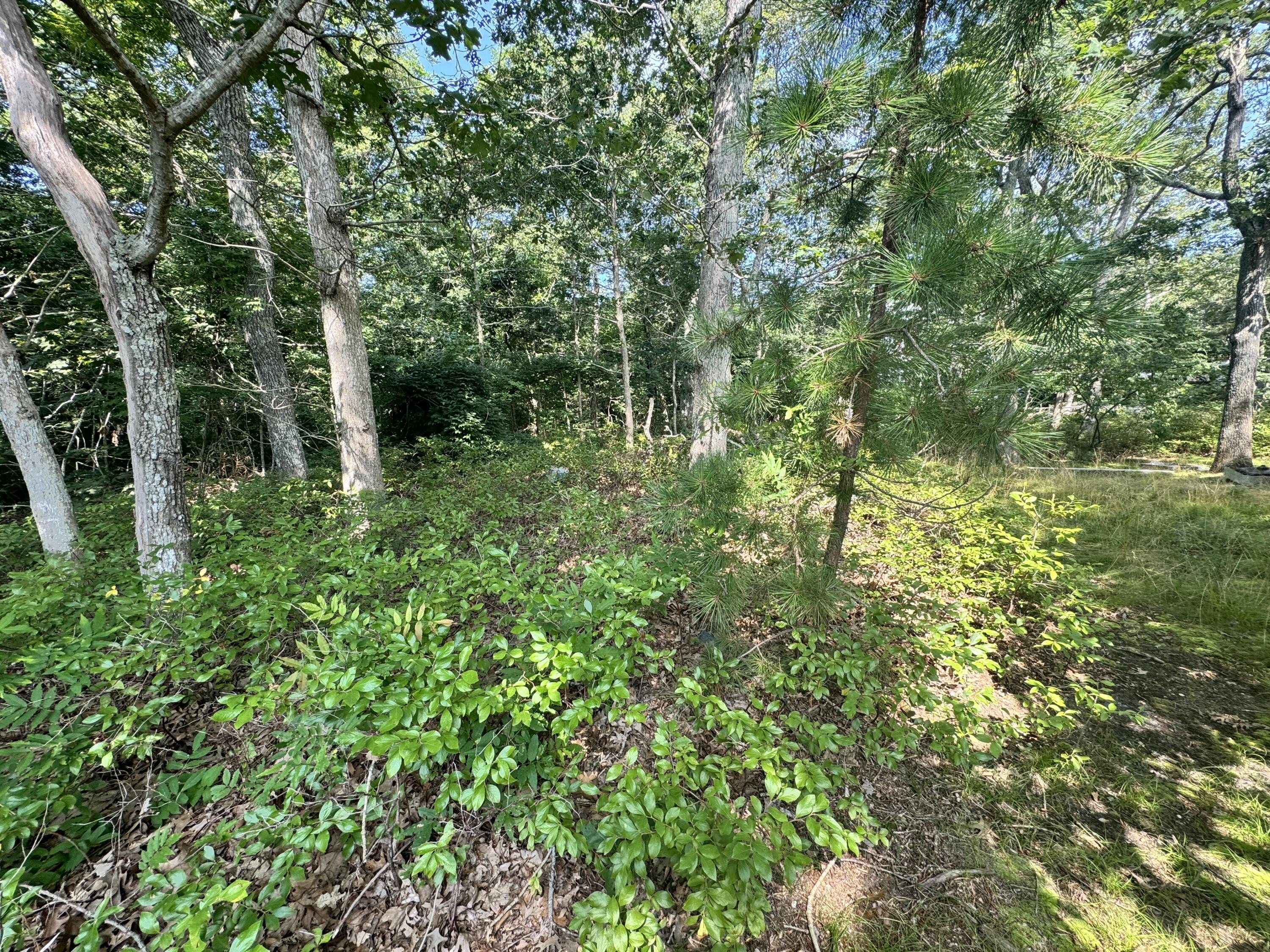 East Chop Land Opportunity