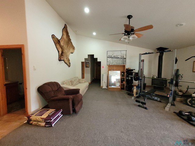 Picture 43
