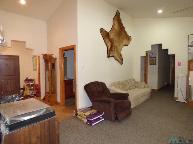 Picture 41