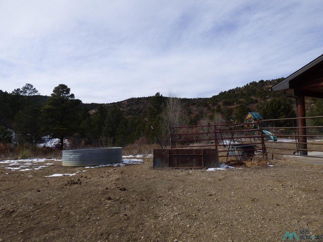 Picture 11