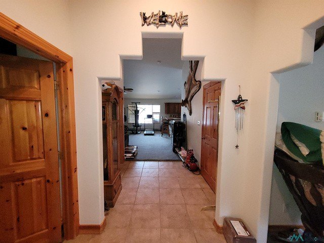 Picture 16