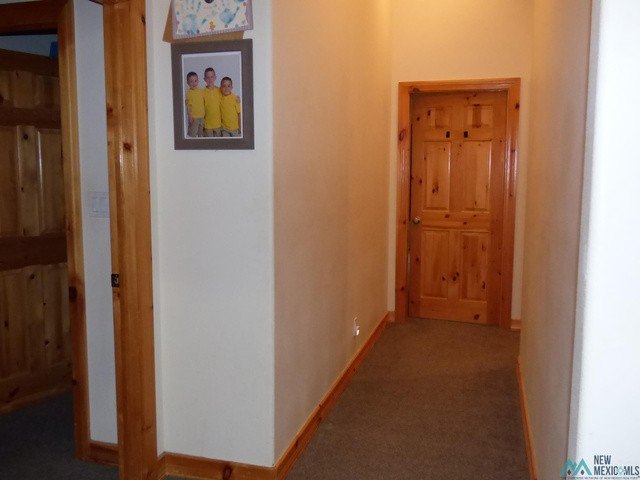 Picture 31