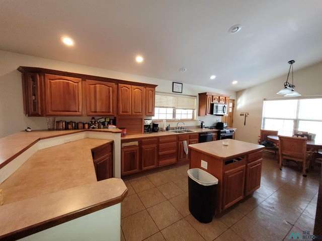 Picture 23