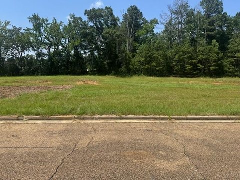 Commercial Lot Near I-55