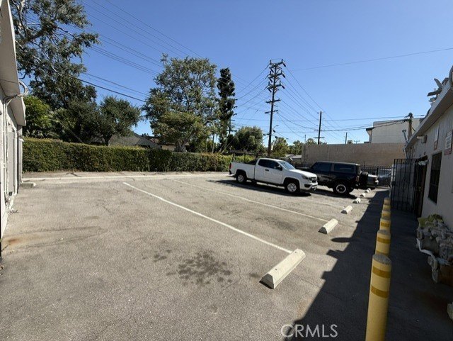 Picture 14