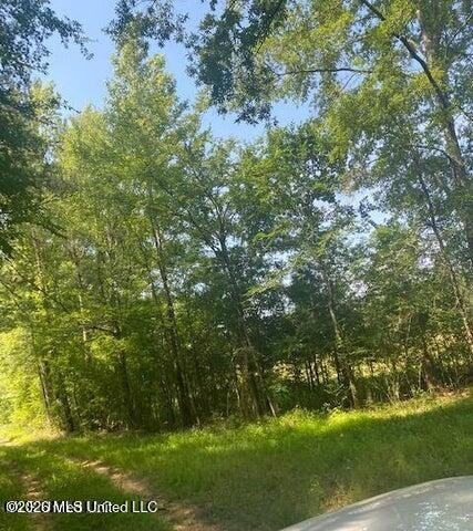 Land in Pinola, Mississippi