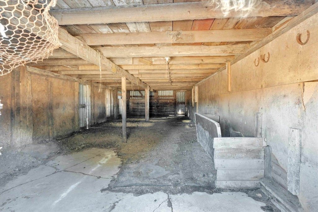 Picture 11