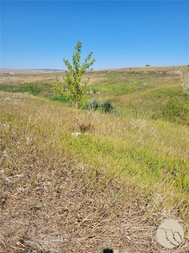 Land, Roberts, MT