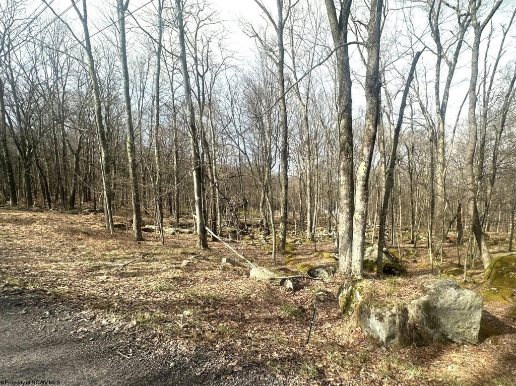 Picture 3