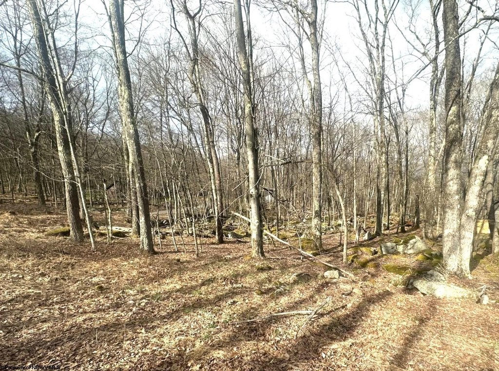Picture 9