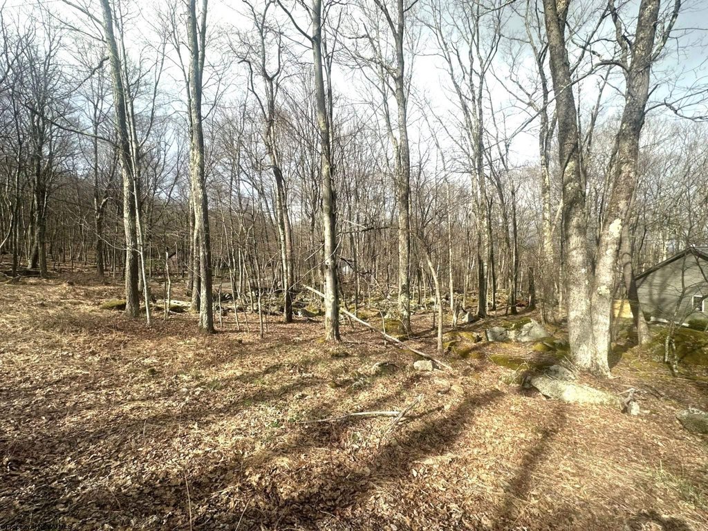 Picture 2