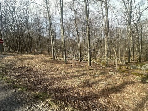 LAND - Terra Alta, WV