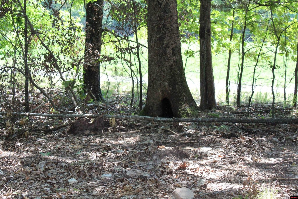 Picture 21