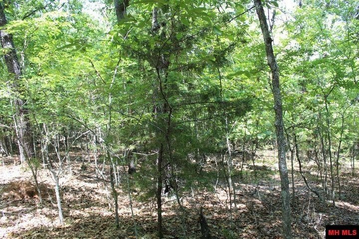 Picture 17