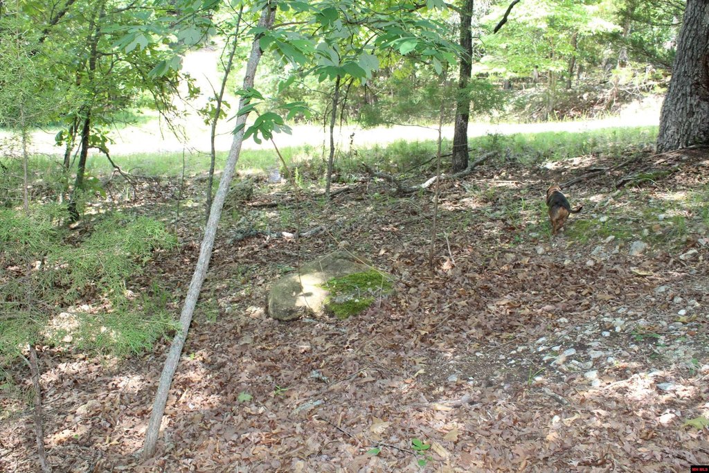 Picture 22