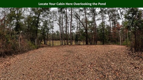 Spring-Fed Pond Recreational Land