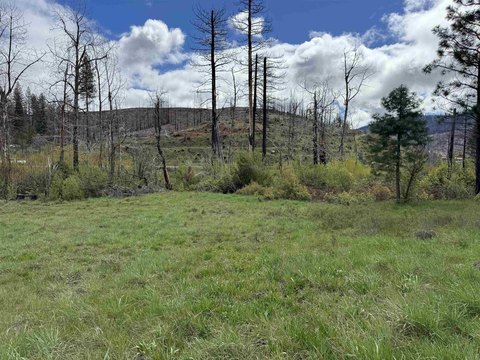 Land in Greenville with Creek