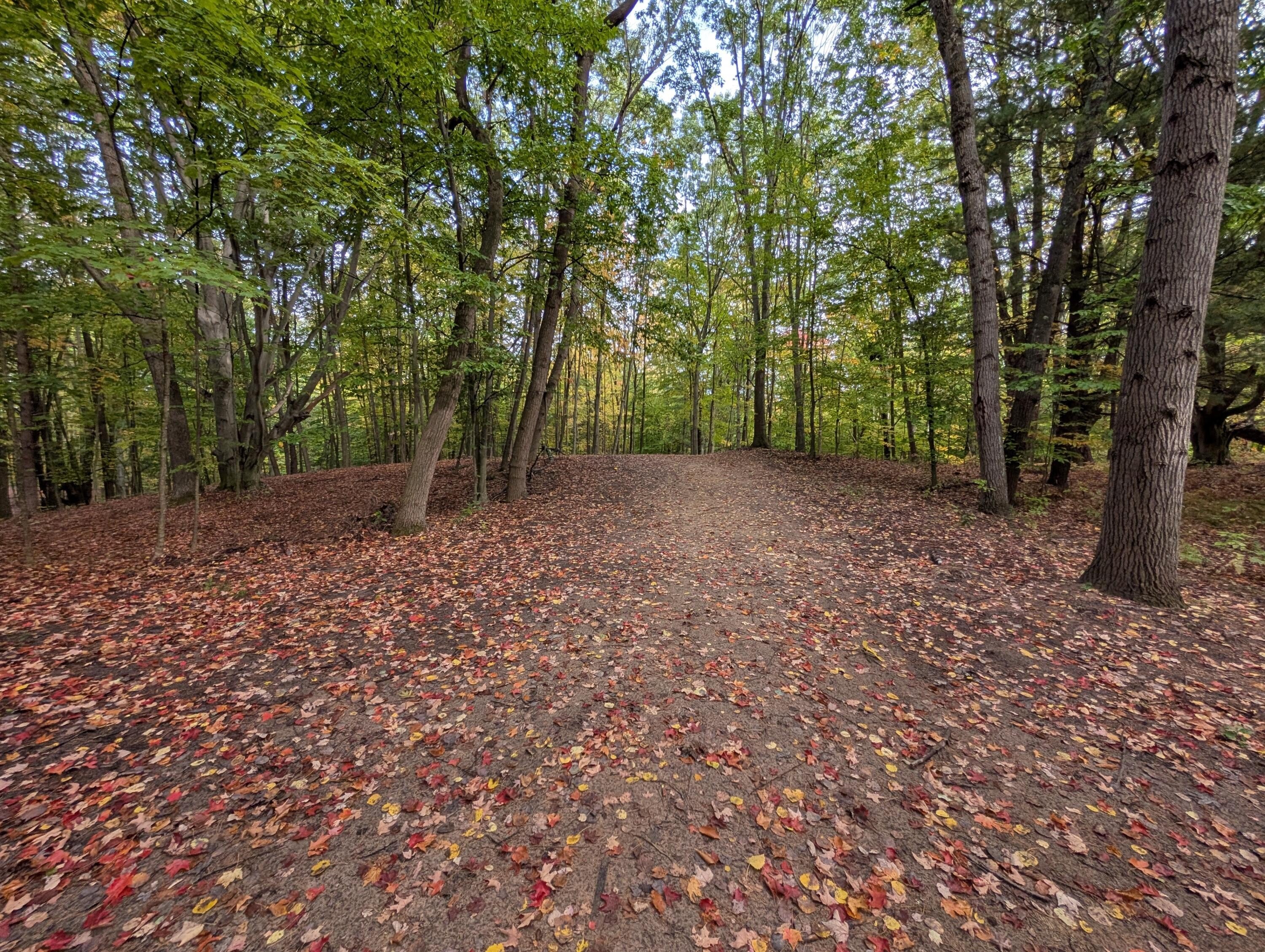 Recreational Land Bordering National Forest