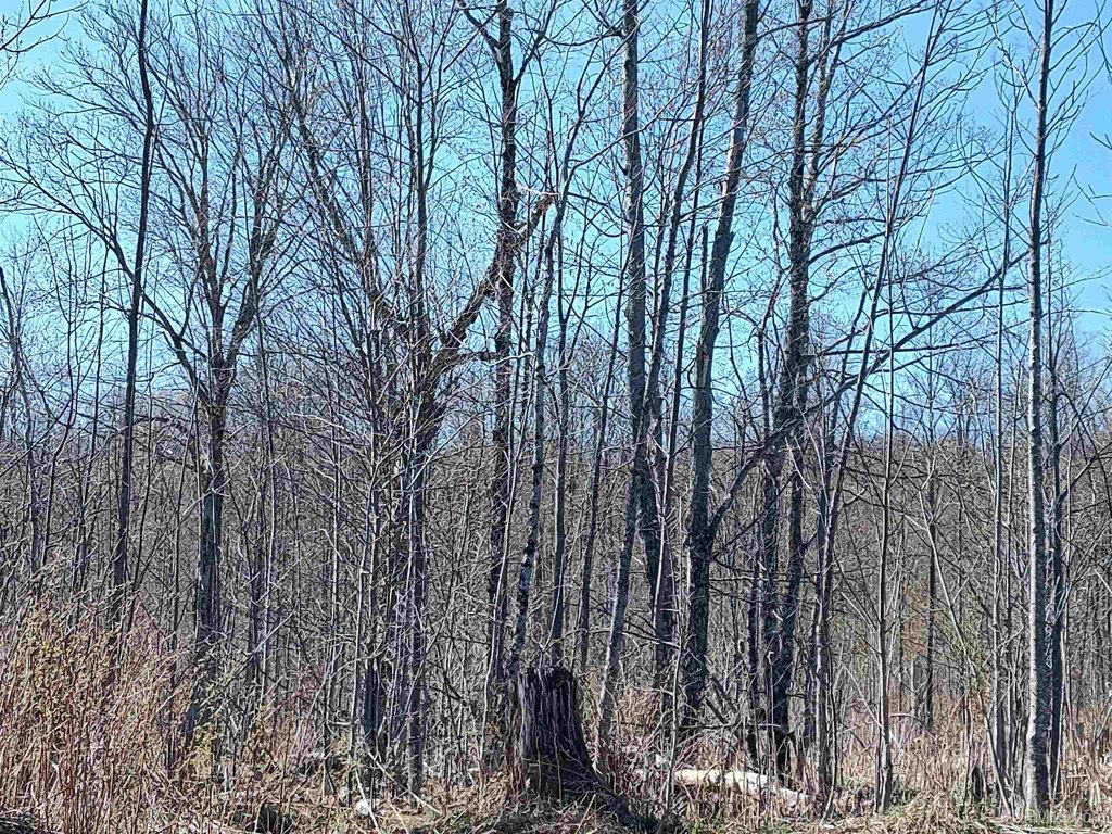 Picture 48