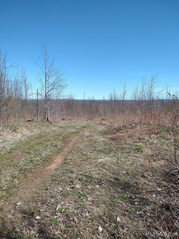 Picture 52