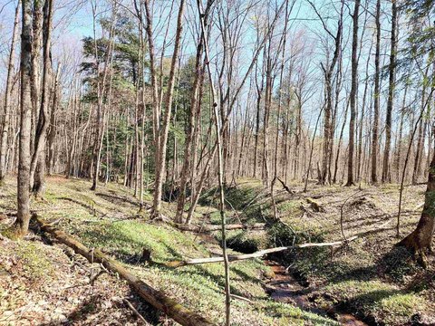 86 Acres Hunting and Recreation Land