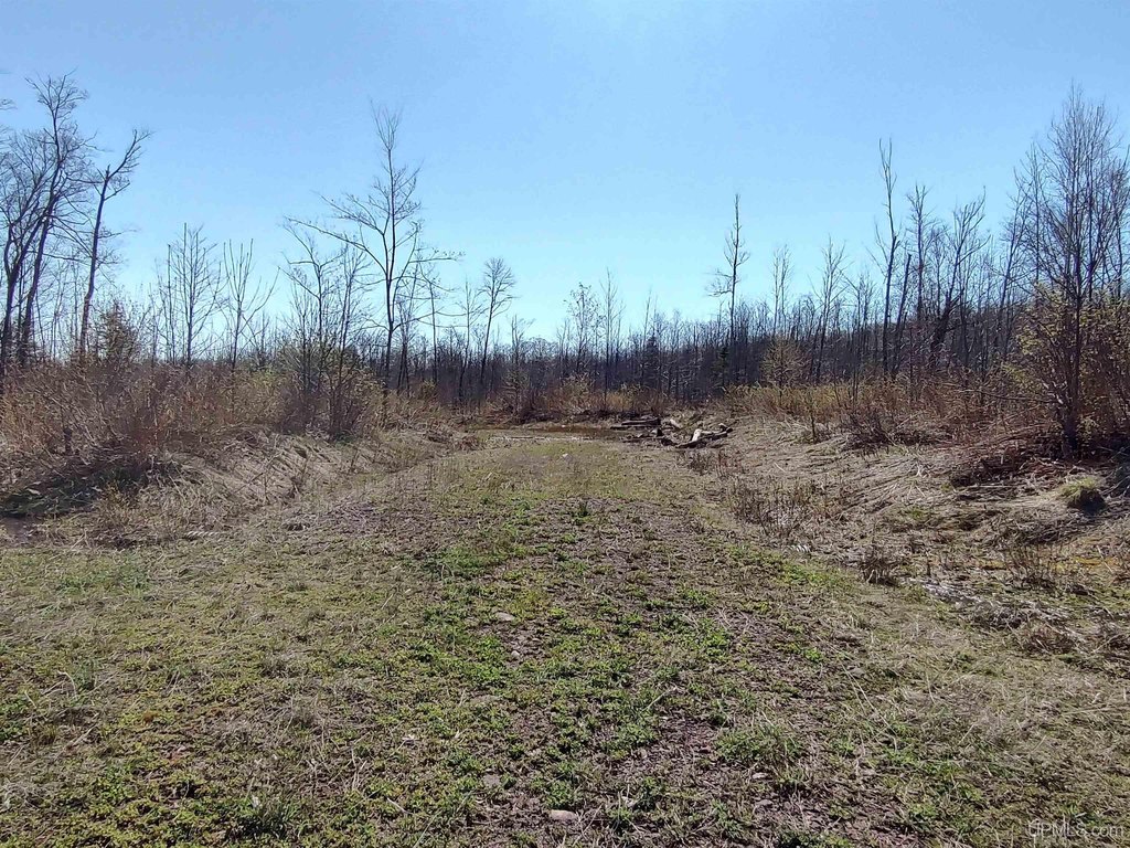 Picture 17