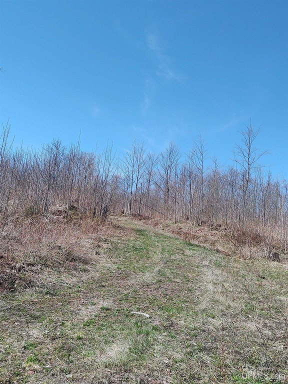 Picture 51