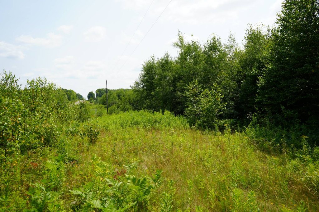 Picture 24