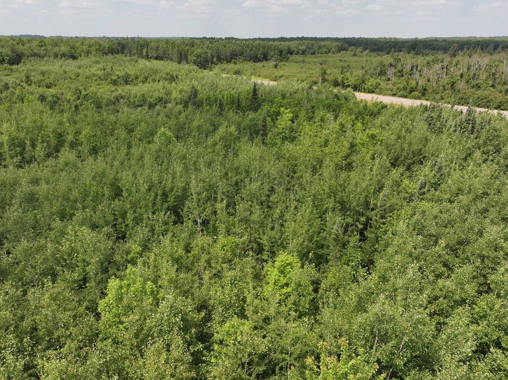 Picture 22