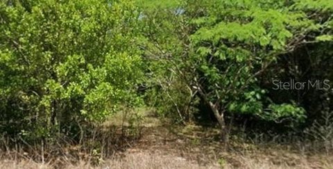 Land, DUNNELLON, FL