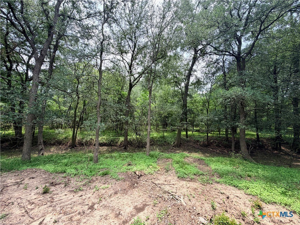 Picture 19