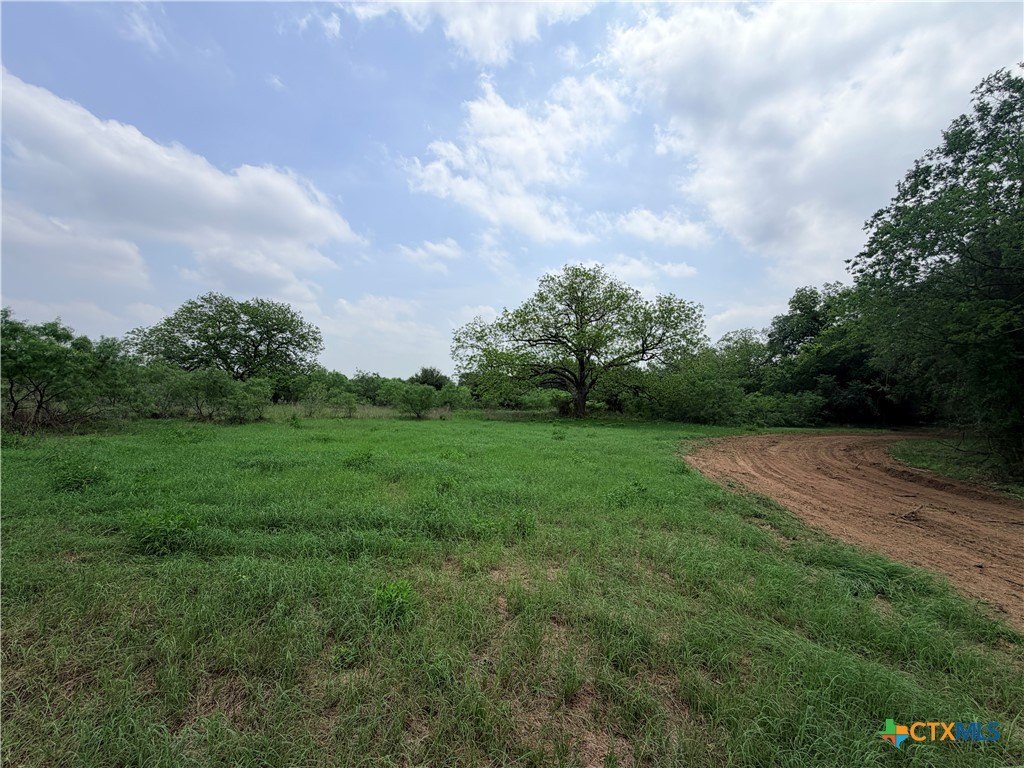 Picture 20