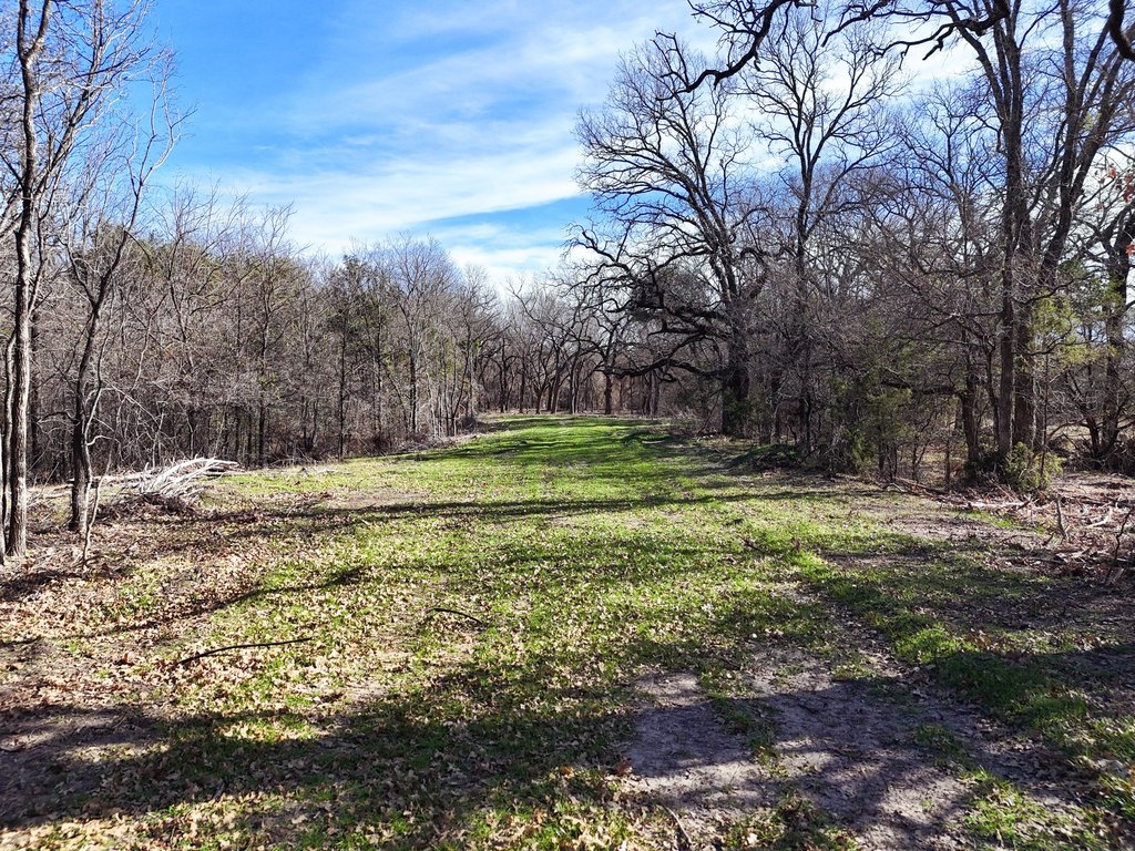 Picture 30