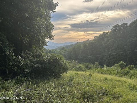 LAND - Topton, NC