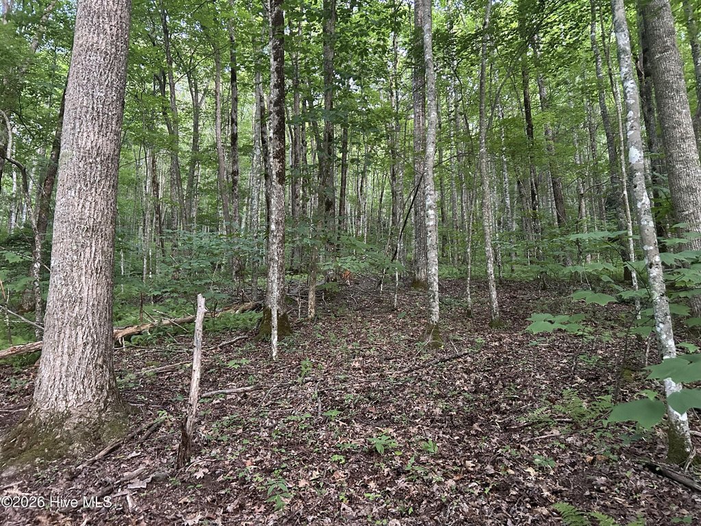 Picture 18