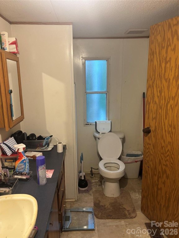 Picture 32
