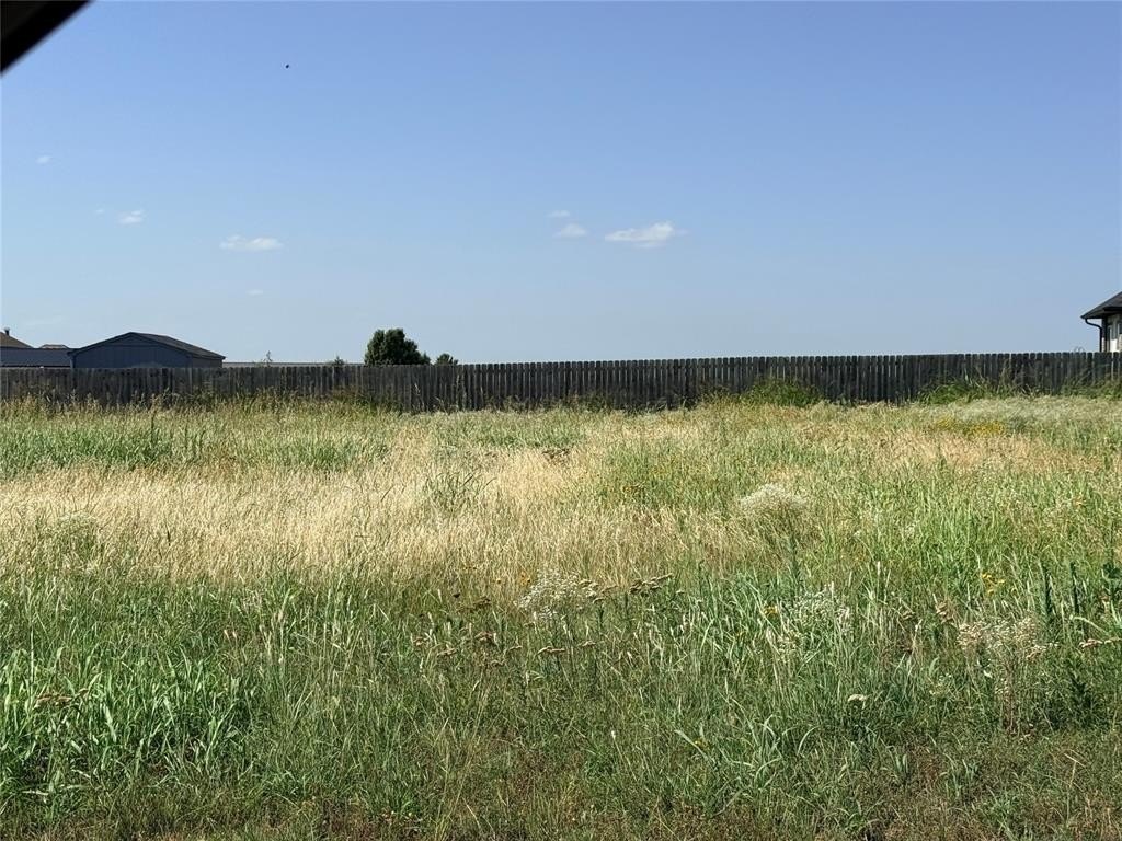 Picture 20