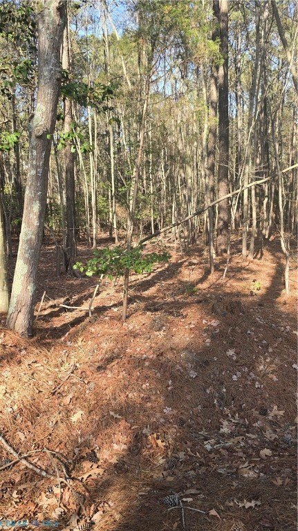 Wooded Land in Susan, Virginia