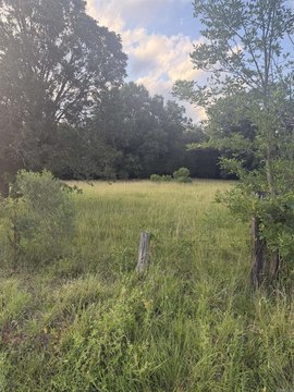 LAND - Conway, AR
