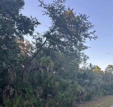 Residential Land Lot