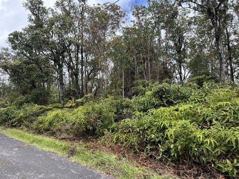 3 Acre Corner Property