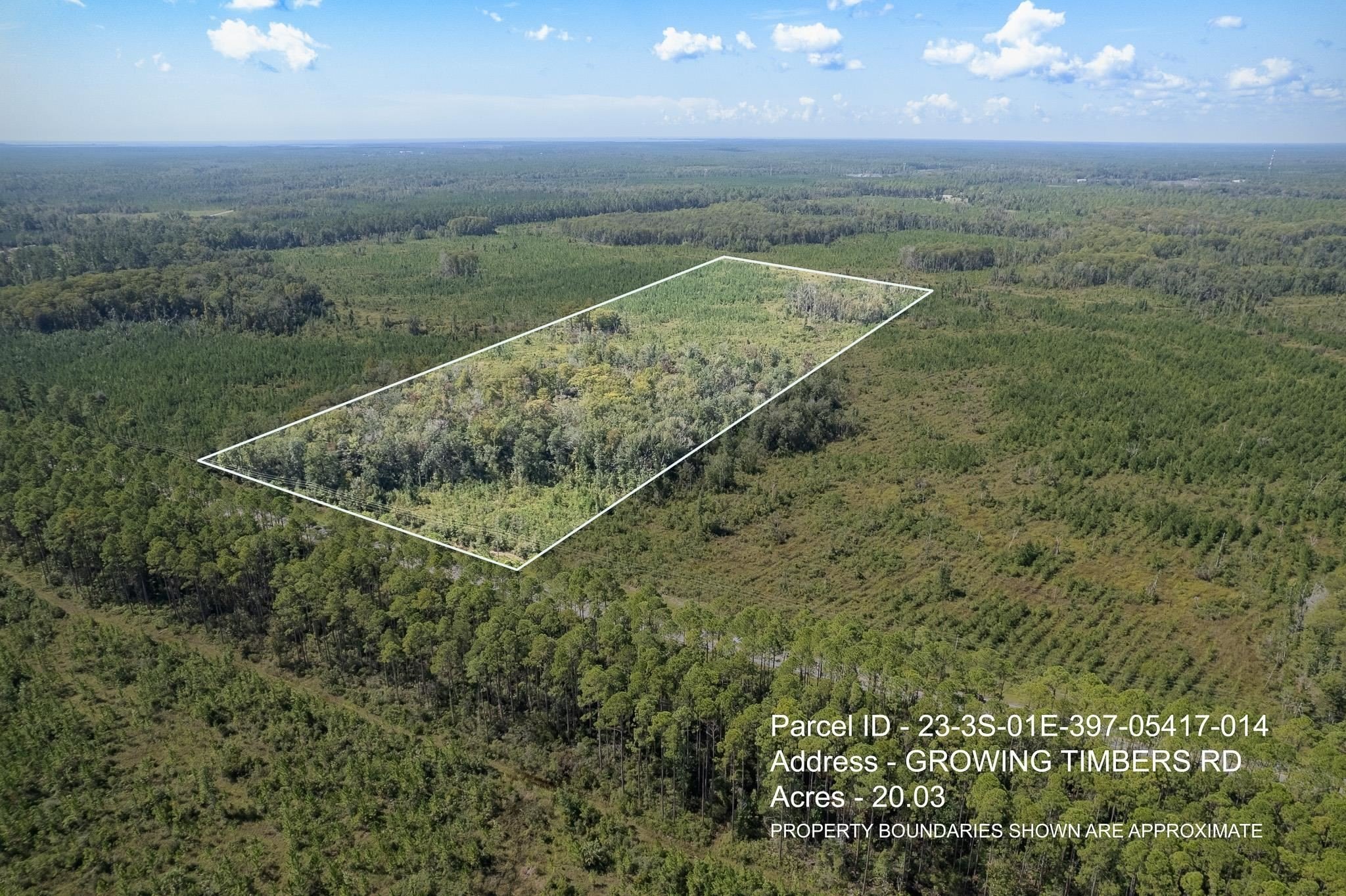 Crawfordville Land Near St. Marks