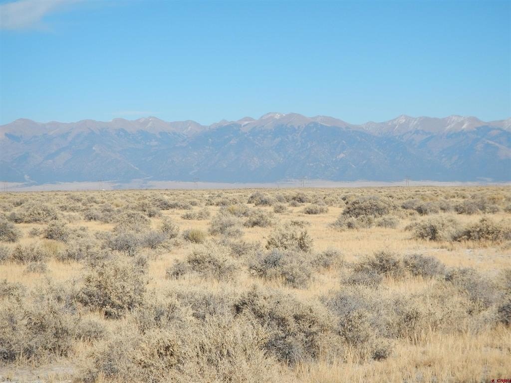 Picture 9