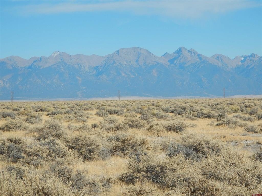 Picture 11