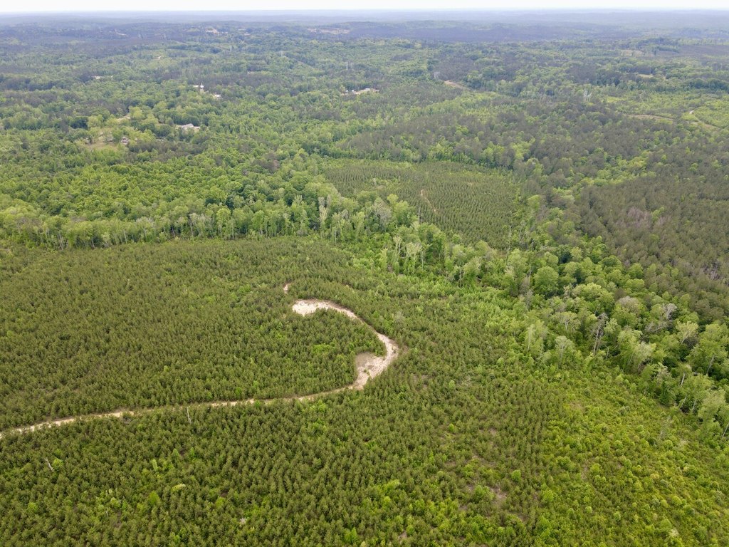Picture 26